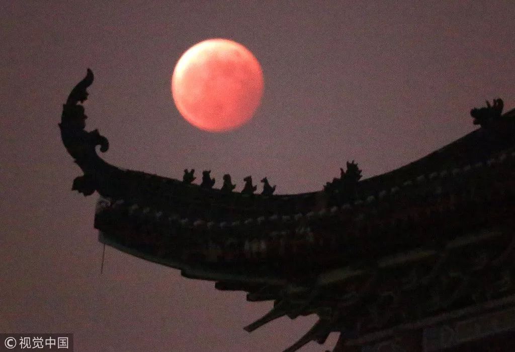 蓝月亮天下彩，免费资料大放送，助你掌握幸运密码蓝月亮天下彩免费资枓大全年老鼠报