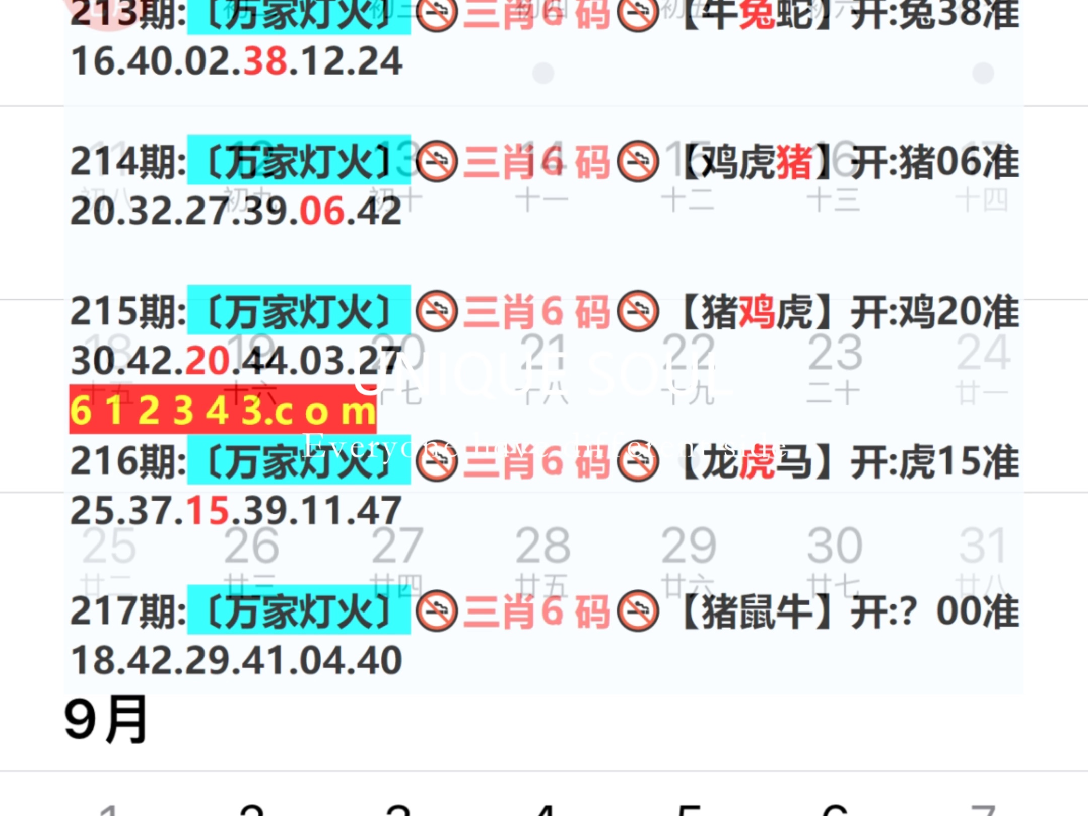 蓝月亮四肖八码精选资料，揭秘数字背后的玄机与智慧蓝月亮四肖八码精选资料的功能