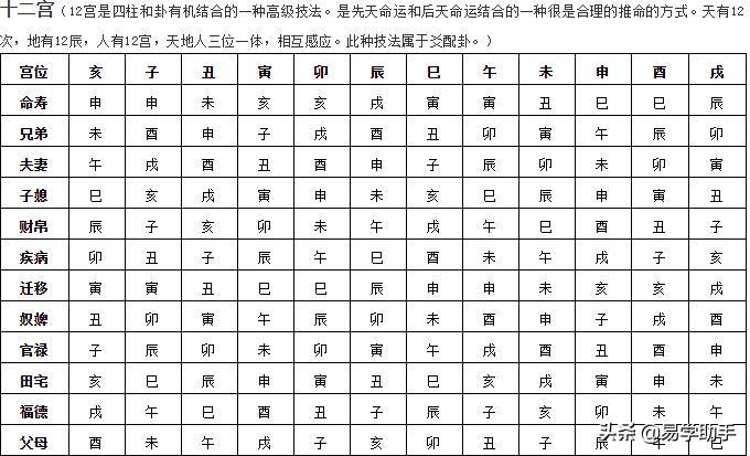 探索命运奥秘，四柱预测图详解四柱预测图库