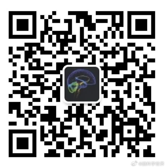 澳门开码资料，今晚免费分享的背后真相2021年澳门今晚开码咨询