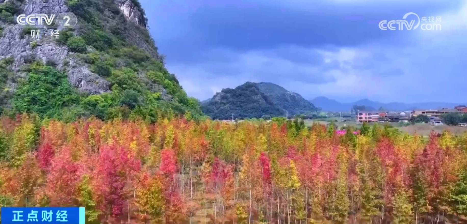 广西风彩,壮乡韵律,绿水青山间的多彩画卷广西风彩票双色球