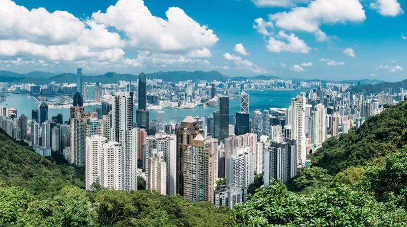 揭秘香港6合现场开奖结果直播最新动态，透明度与公正性的双重保障香港6合现场开奖结果直播最新消息